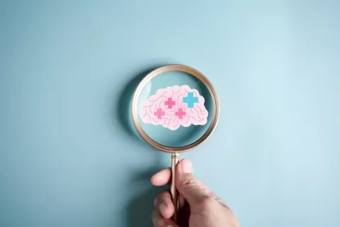Nuevo enfoque para reducir el daño cerebral por ictus Una lupa enfoca un cerebro dibujado con signos de daño por ictus