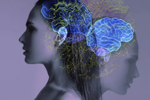 Ilustración de funciones cognitivas en el cerebro de una mujer con un trastorno mental Doble imagen de una mujer con ilustración de funciones cognitivas del cerebro