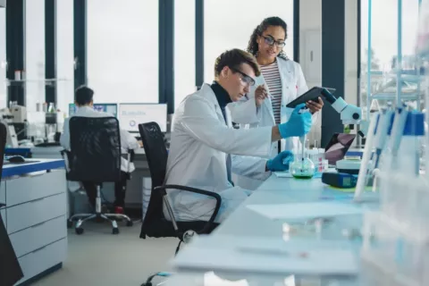 Hombre y mujer en un laboratorio investigan para el desarrollo de fármacos Dos jóvenes científicos en un laboratorio analizan muestras y charlan