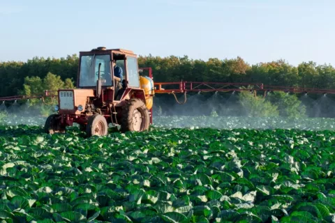Hombre en tractor rocía con pesticidas un campo de cultivo de hortalizas