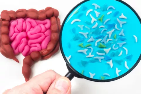 Dibujo de intestino humano junto a mano que sujeta una lupa tras la que hay microorganismos intestinales