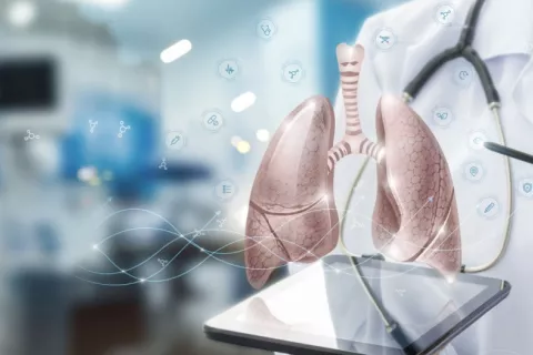Imagen de los pulmones humanos en 3D sobre tablet que sujeta un médico Profesional sanitario examina una tableta que muestra los pulmones en 3D