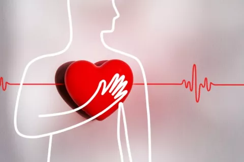 Dibujo de corazón rojo sobre silueta humana para representar una cardiopatía Dibujo de silueta de hombre que toca con la mano un corazón grande y rojo