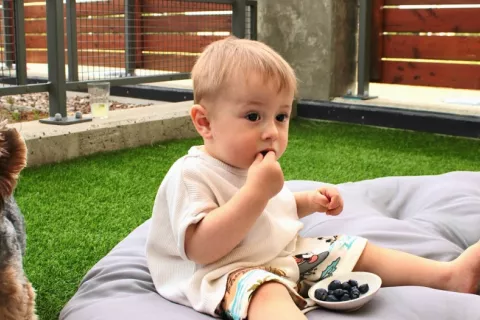 Un bebé come arándanos sentado sobre una colcha en el jardín