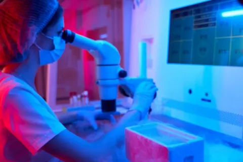 Una embrióloga mira a través del microscopio en el laboratorio