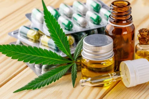 Hojas verdes de cannabis medicinal con extracto de aceite y cápsulas 
