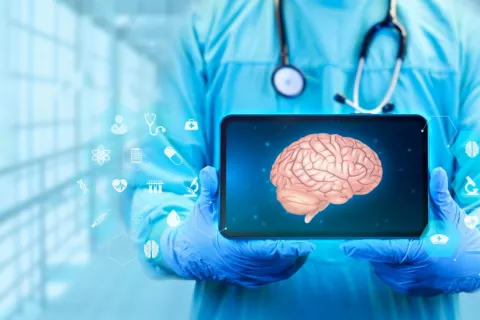 Tableta con imagen del cerebro humano Médico sostiene una tableta donde se observa la estructura anatómica del cerebro humano.