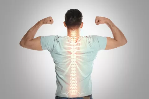 Columna vertebral sana y fuerte Hombre de espaldas sacando músculos con una imagen ilustrada de su columna vertebral