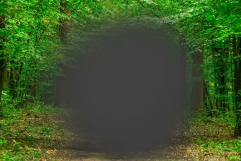 Mancha negra central impide ver un bosque, simbolizando la DMAE Imagen de un bosque con una mancha negra en el centro