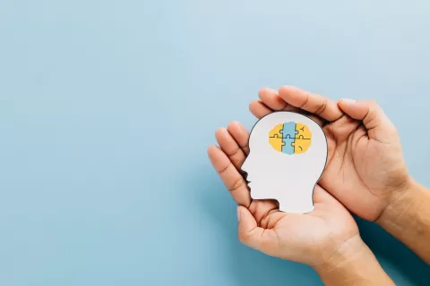 Concepto de problema genético del autismo Unas manos sostienen una figura de una cabeza con piezas uniéndose para formar un cerebro