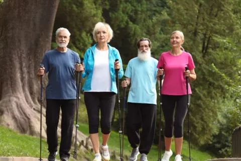 Grupo de personas mayores practica marcha nórdica en un bosque