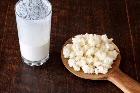 Granos de kéfir y vaso con leche fermentada Vaso de leche fermentada junto a un cucharón con granos de kéfir