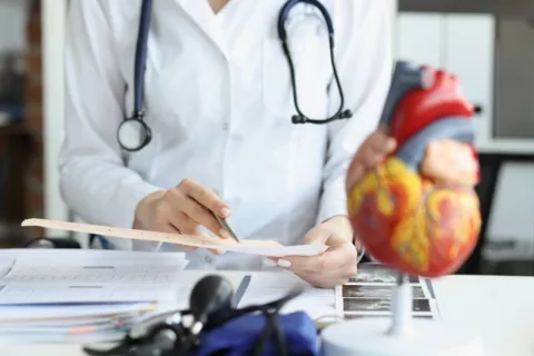 Cardiólogo examina un cardiograma con un modelo de corazón artificial en primer plano