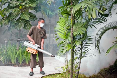 Un brote de dengue se extiende por Centroamérica