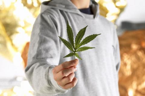 Los adolescentes, en riesgo de adicción al cannabis