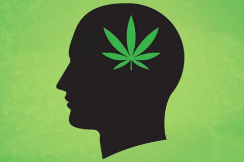 Incluso un bajo consumo de marihuana afecta al cerebro
