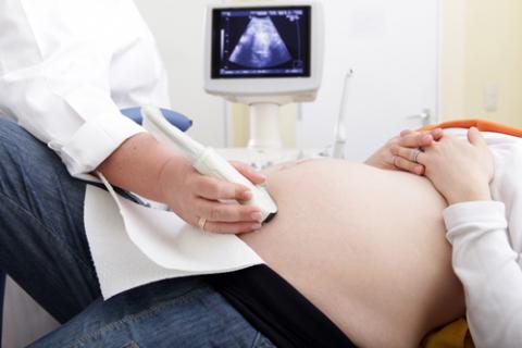 El crecimiento del embrión influye en la salud cardiaca