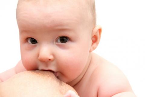 La lactancia materna mejora el desarrollo del cerebro