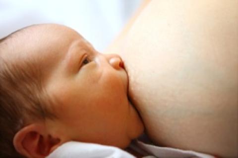 El bebé mama al reconocer el olor de su madre