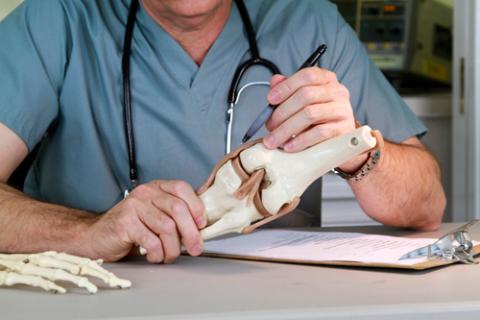 Identifican un nuevo ligamento de la rodilla