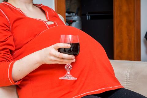 Beber alcohol embarazada afecta al desarrollo craneofacial del bebé