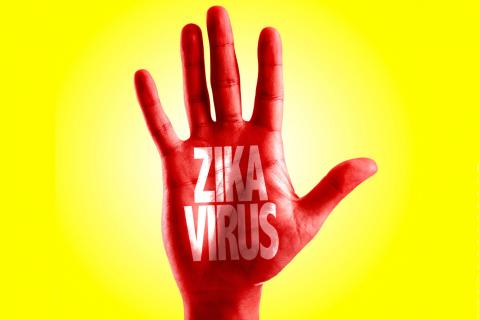 Alerta global de la OMS contra el virus Zika