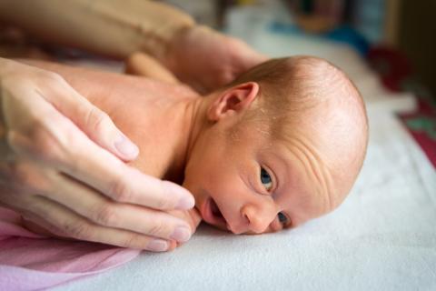 Las manos de una madre sujetan a su bebé prematuro, que está tumbado boca abajo