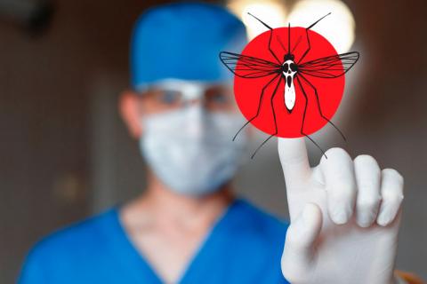 La OMS advierte de que la malaria es una amenaza latente mundial