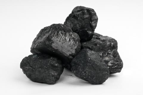 Carbón y pesticidas pueden causar defectos congénitos