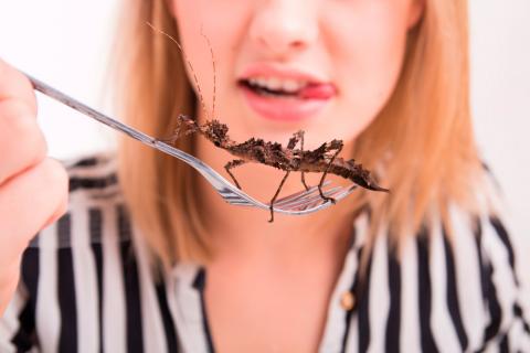 Comer insectos aporta tantos minerales como la carne