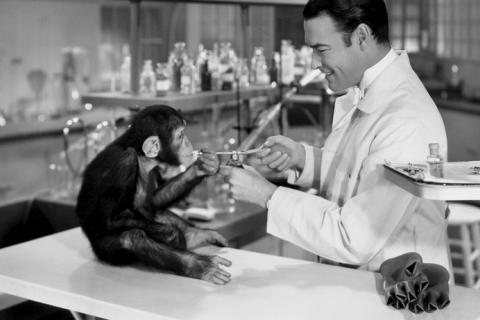 Un científico experimenta con un chimpancé en un laboratorio