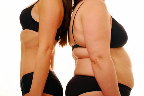 Mujer delgada y mujer gruesa espalda con espalda