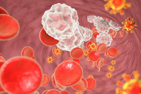 Infección por VIH, etapa inicial o consumo de agentes antirretrovirales