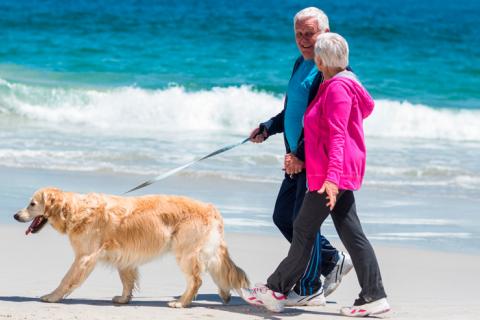 Adultos mayores paseando el perro por la playa