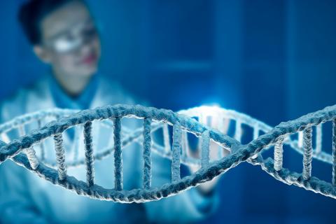 Una mutación en un gen puede prolongar diez años la vida humana