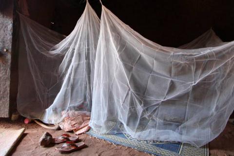 Mosquitera utilizada en Burkina Faso