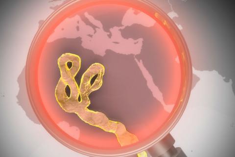 Nuevos casos de ébola
