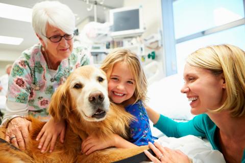 Una niña abraza a un perro durante su sesión de perroterapia