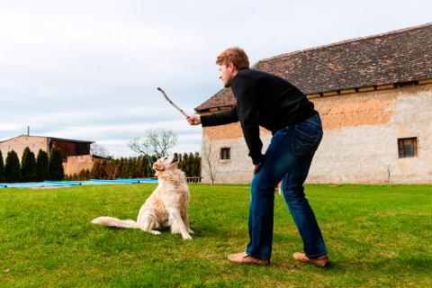 Un hombre a punto de lanzar un palo a su perro