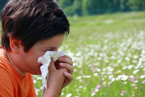 Un niño se suena la nariz en el campo en primavera