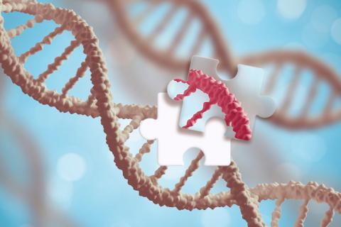 La técnica CRISPR, eficaz para revertir síntomas del Huntington