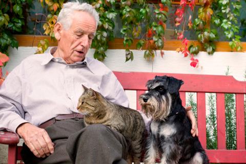 Anciano sentado en un banco junto a un gato y un perro