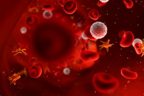 Células circulando por la sangre