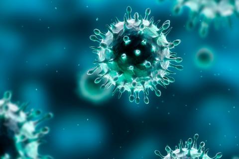 Virus de la gripe al microscopio