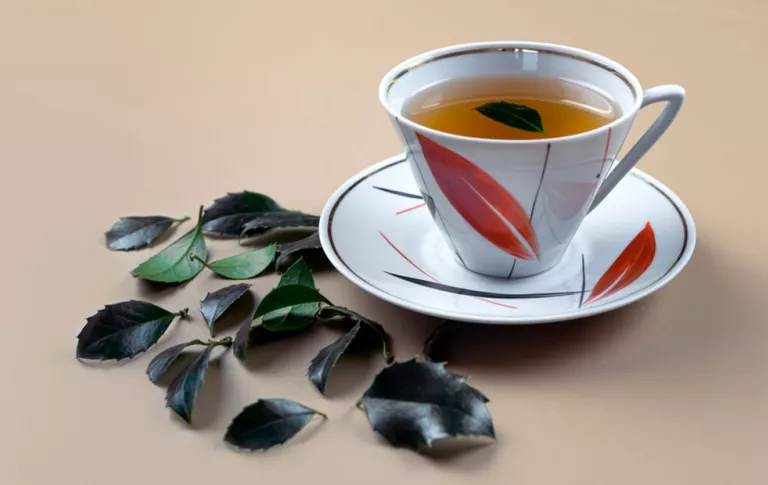 Taza de té yaupón