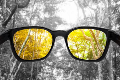 Gafas con efecto de visión daltónica
