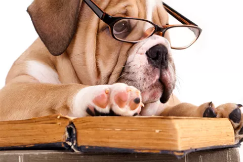 Cuestiones legales