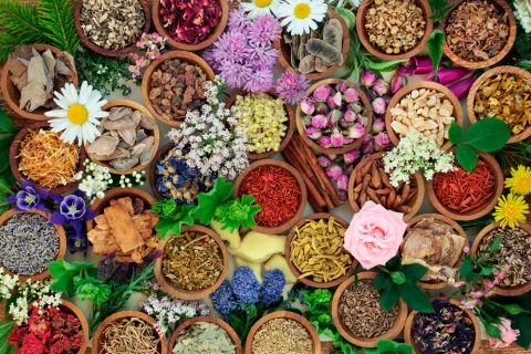 Plantas medicinales