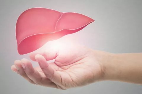 Concepto de hepatitis