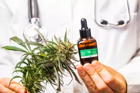 Usos del cannabis medicinal en la diabetes Doctor sostiene unas hojas de marihuana y un bote de CBD